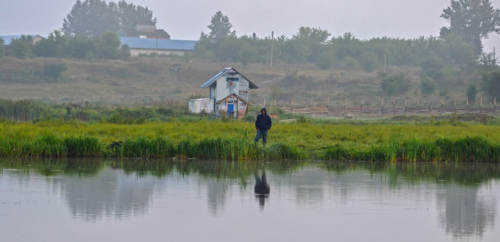 Риболовля та відпочинок у селі Городок Волинської області