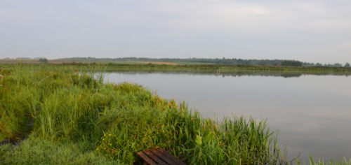 Риболовля та відпочинок у селі Городок Волинської області