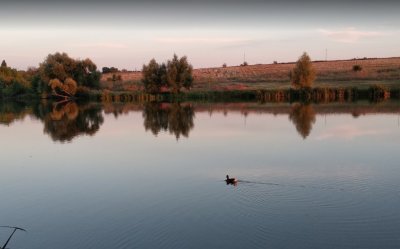 Рыбалка на базе отдыха: Орлиное Гнездо