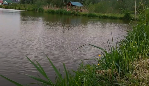 Водойма біля села Рачин Волинської області