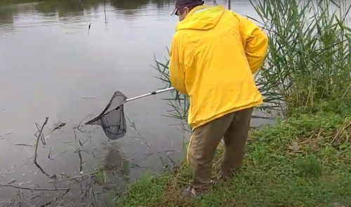 Водойма біля села Рачин Волинської області
