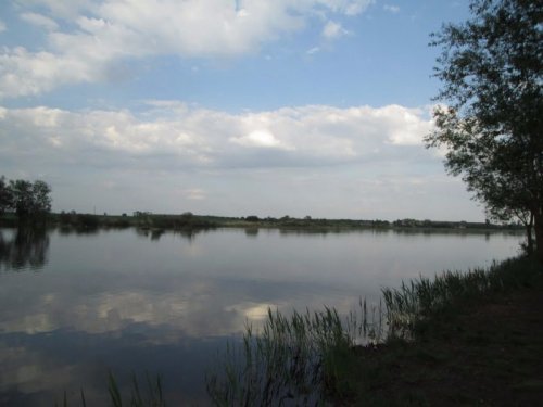 Водойма біля села Рачин Волинської області