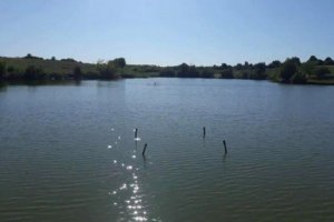 Водоем в с. Аннинское Кировоградской области-2