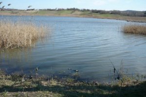 Водоем в с. Омельгород Кировоградской области-2