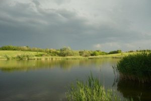 Водоем в с. Омельгород Кировоградской области-1