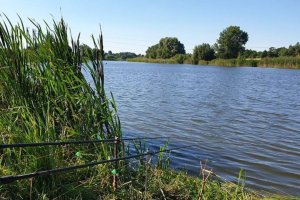 Водоем в с. Ставы Киевской области-1
