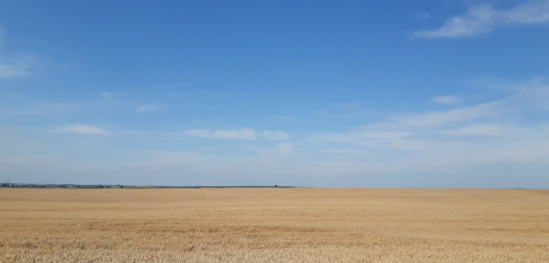 Воютін став у Волинській області