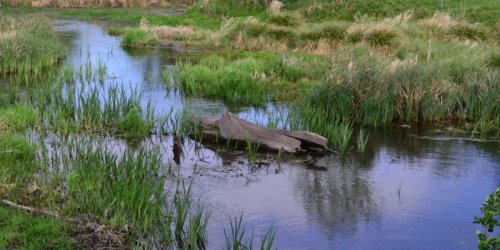 Воютін став у Волинській області