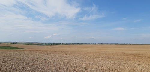 Воютін став у Волинській області