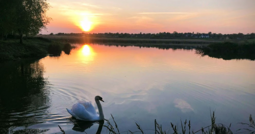 База відпочинку «Боголюби» у Волинській області