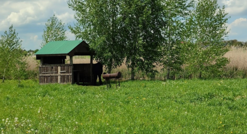 База відпочинку «Боголюби» у Волинській області