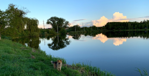База відпочинку «Боголюби» у Волинській області