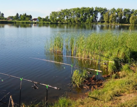 Риболовля на Гадзинському ставку у Житомирській області
