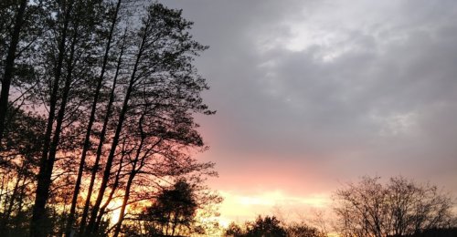 Кар'єри біля села Журавичі Волинської області