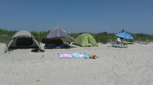 Риболовля та відпочинок в селі Коза, Запорізька область