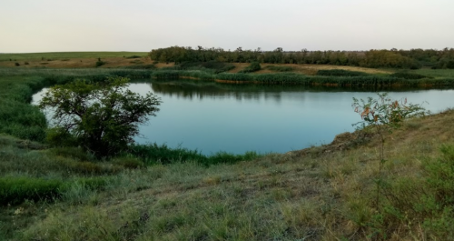 Риболовля та відпочинок в селі Коза, Запорізька область