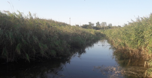 Риболовля та відпочинок в селі Коза, Запорізька область