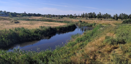 Риболовля та відпочинок в селі Коза, Запорізька область