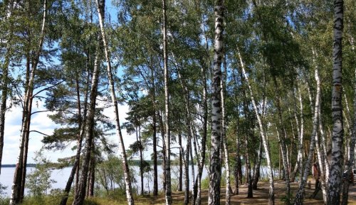 Озеро Біле у Волинській області