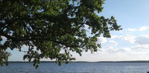 Озеро Біле у Волинській області