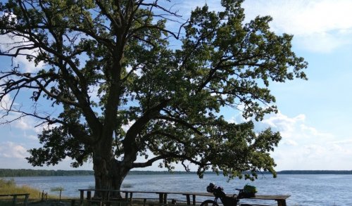 Озеро Біле у Волинській області