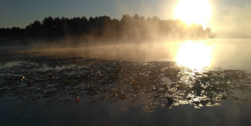 Озеро Червища у Волинській області