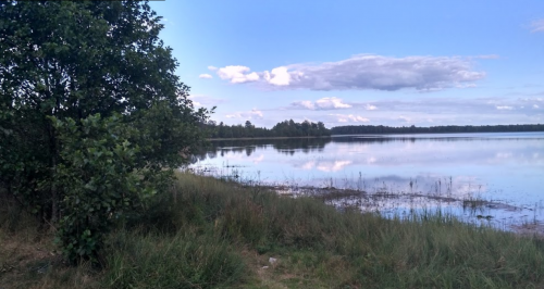 Озеро Червища у Волинській області