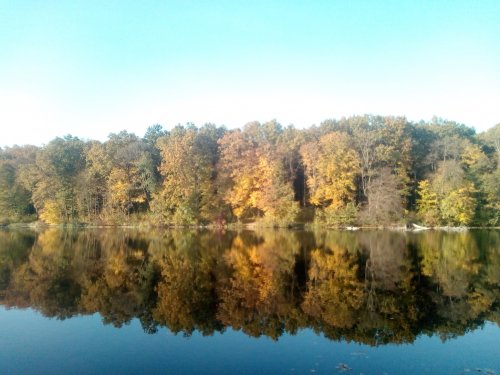 Озеро Гуральня в Винницкой области