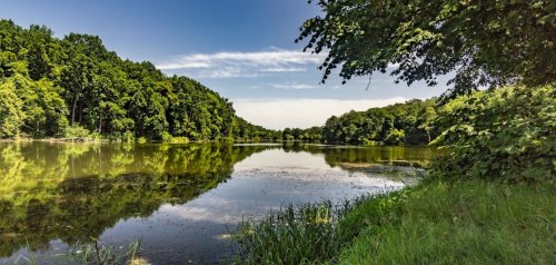 Озеро Гуральня в Винницкой области