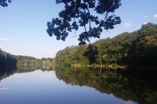 Озеро Гуральня в Винницкой области