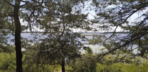 Рибалка та відпочинок на озері «Люб'язь» у Волинській області