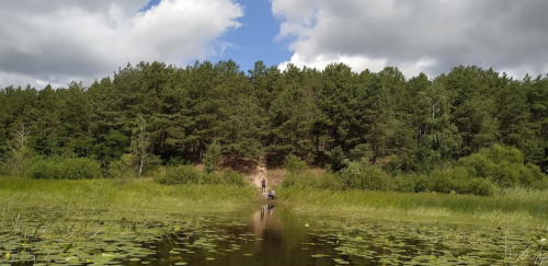 Рибалка та відпочинок на озері «Люб'язь» у Волинській області