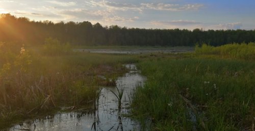 Озеро Нечимне у Волинській області