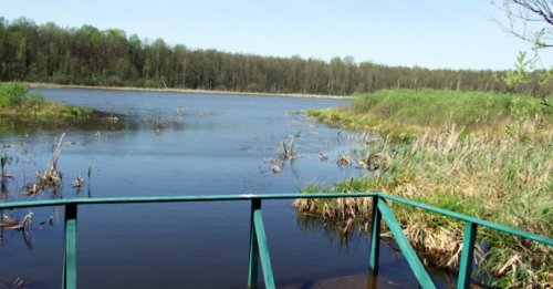 Озеро Нечимне у Волинській області
