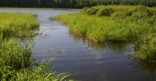 Озеро Нечимне у Волинській області