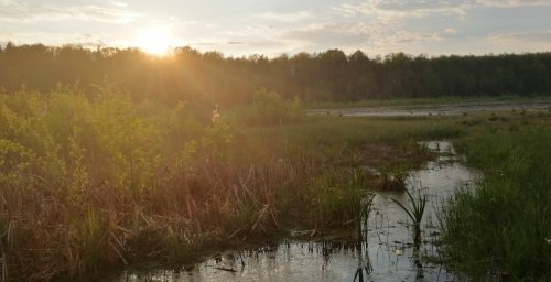 Озеро Нечимне у Волинській області