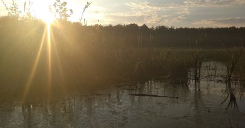 Озеро Нечимне у Волинській області