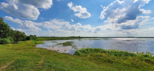 Озеро Рогозне у Волинській області