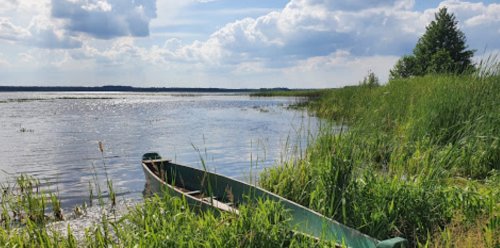 Озеро Рогозне у Волинській області