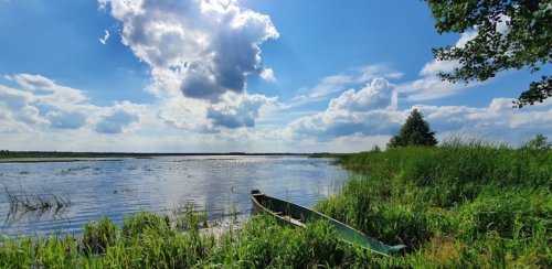 Озеро Рогозне у Волинській області