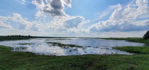 Озеро Рогозне у Волинській області
