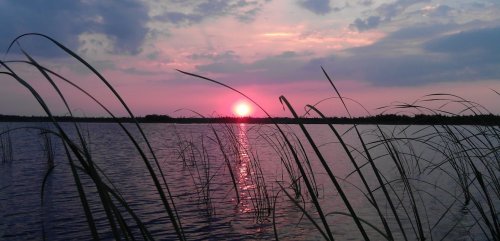 Озеро Рогозне у Волинській області