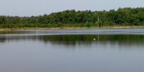 Озеро Тростяне у Волинській області