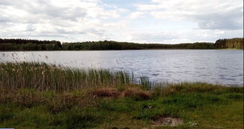 Озеро Тростяне у Волинській області