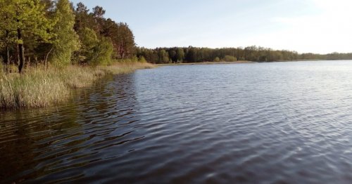 Озеро Тростяне у Волинській області