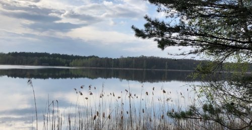 Озеро Тростяне у Волинській області