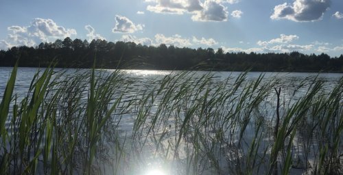 Озеро Тростяне у Волинській області