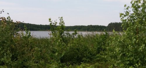 Озеро Тростяне у Волинській області