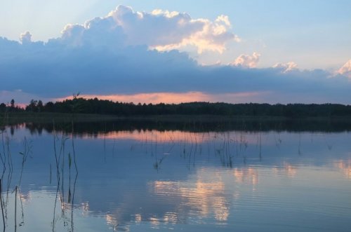 Озеро Тучне у Волинській області