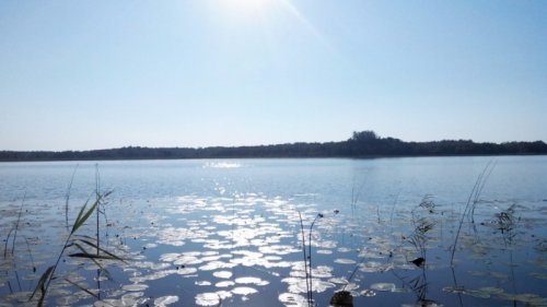 Озеро Тучне у Волинській області